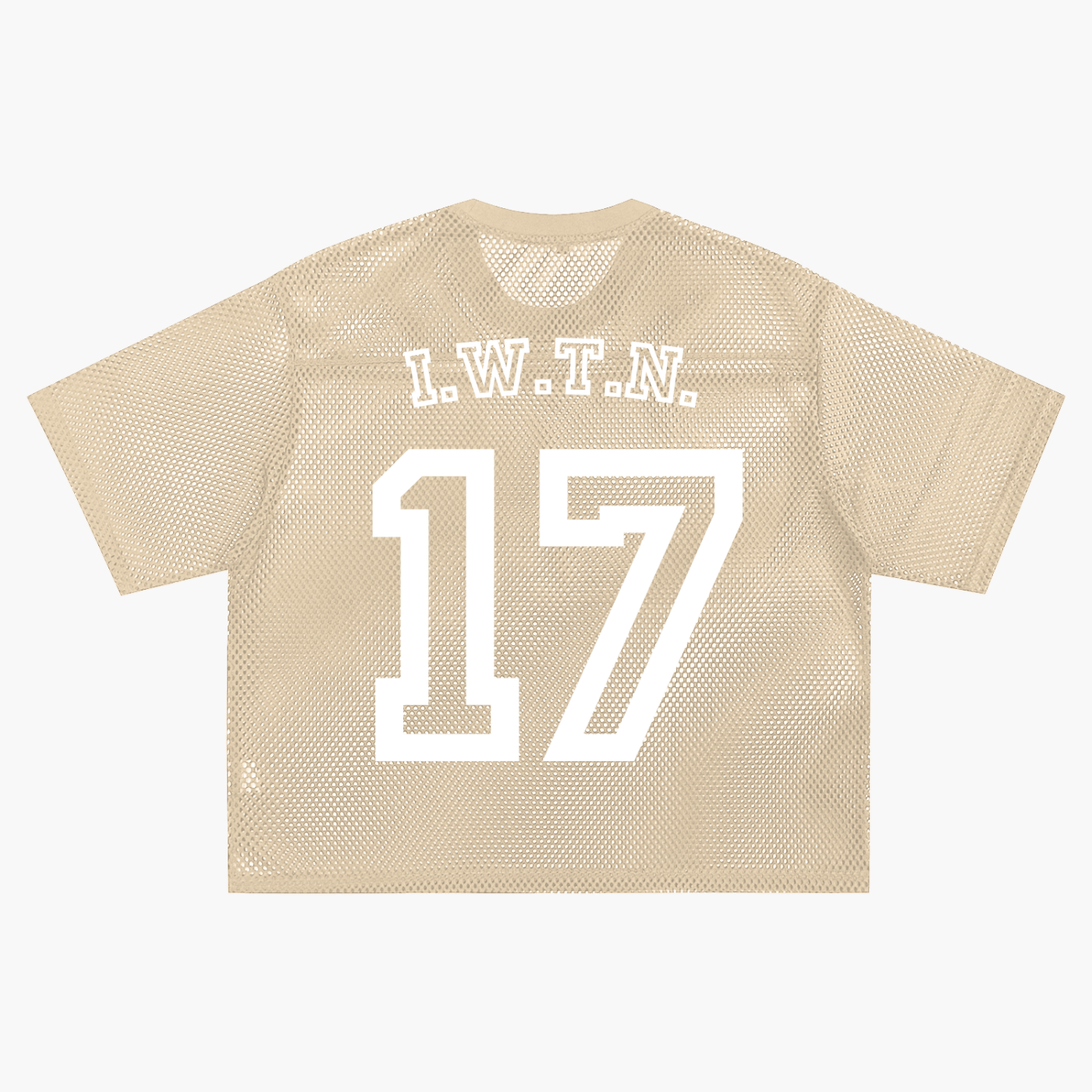 jersey,unisex,open net,mesh,17,iwtn,interfere with the narative,script,intrfr